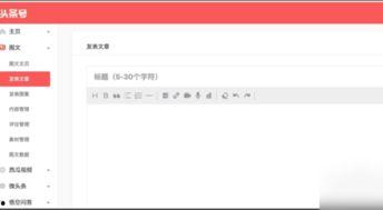 怎么发表头条的新闻赚钱,如何通过发表头条新闻轻松赚钱