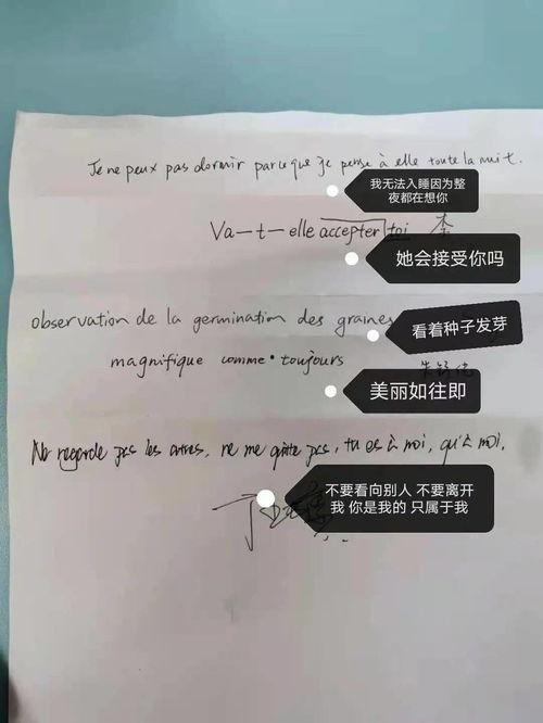 法语女明星怎么翻译,探寻法国女明星的独特风采