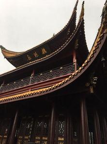 岳阳最有名的网红是谁