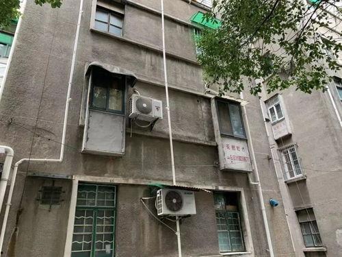 镇东新村新闻头条号,聚焦乡村振兴新篇章，共话美丽乡村发展成果