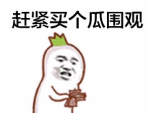 吃瓜表情怎么解读,揭秘网络社交中的趣味与心理