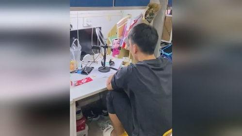 吃瓜视频大全男生