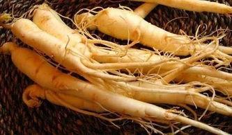 头条东北鲜人参价格,揭秘养生佳品的市场行情”