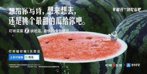 吃黄阳瓜的文案,夏日消暑佳品，尽享清新口感之旅