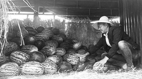 禹城最新吃瓜群众,最新热点事件盘点