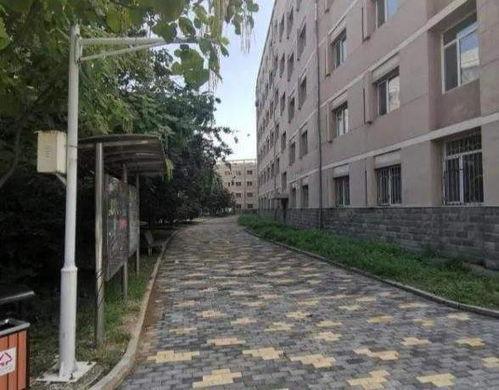 馆陶女网红,崛起的乡村网络新势力