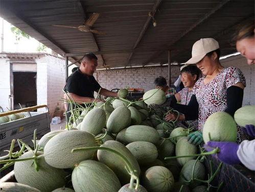 吃瓜去其精华,探寻娱乐圈的精华瞬间