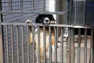 一休网红,揭秘网络红人的崛起之路