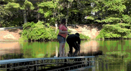 头条发gif在哪里发,揭秘其发生地之谜