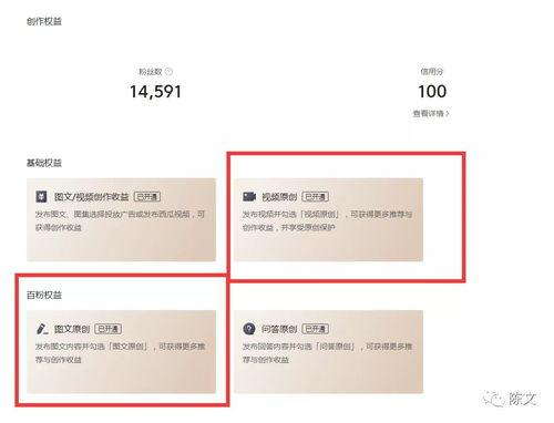 头条自媒体副业实战,揭秘高效盈利之道