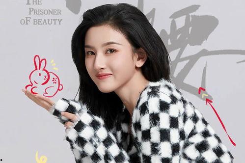 天津女明星冬冬,闪耀荧屏的璀璨之星