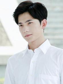 帅男人明星,揭秘帅男人明星的迷人风采