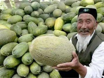 罗布老人吃哈密瓜,罗布老人与哈密瓜的甜蜜邂逅