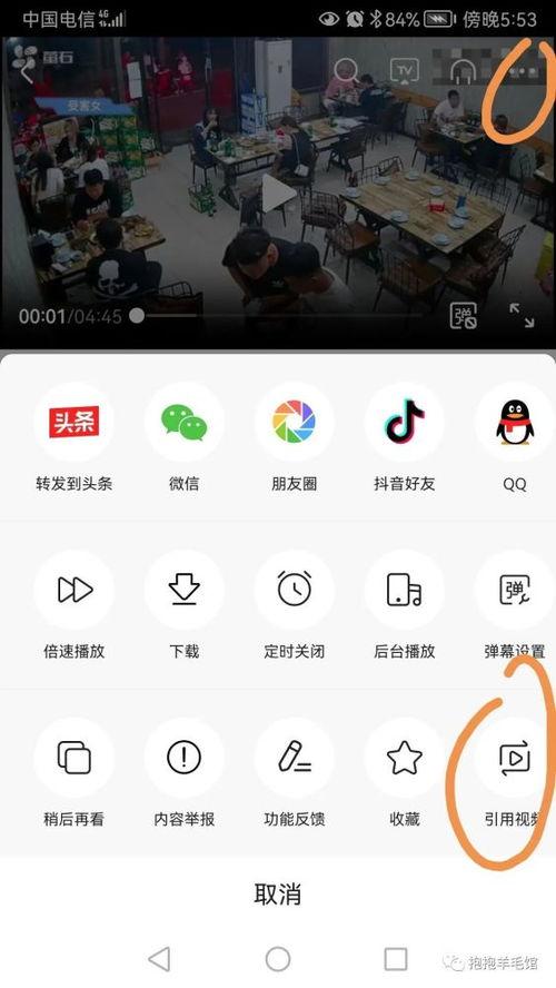 小白在头条发什么合适,揭秘热门话题背后的故事