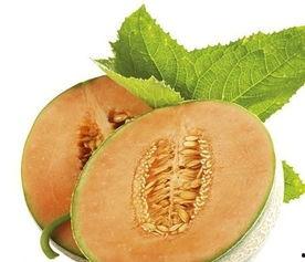 家有儿女吃哈密瓜,共享哈密瓜甜蜜滋味