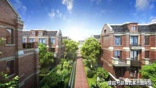 福州爆料深度解析最新消息