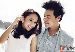 华人爆料陈思诚视频,华人娱乐圈风波再起