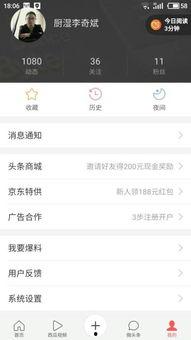 头条网页不显示主题,头条网页神秘消失，主题成谜！