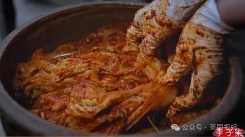 四川酸菜爆料视频播放下载,播放量飙升，下载热潮席卷全网！