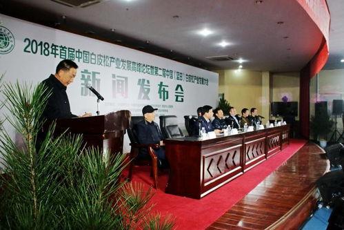 南宁宾阳蓝田新闻头条,揭秘蓝田新区发展新动态