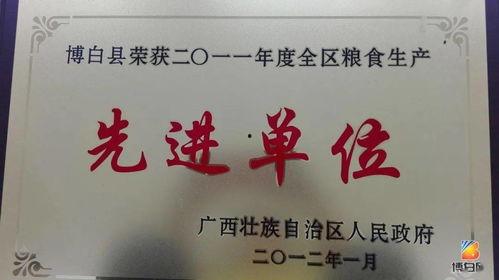 博白头条,聚焦本土发展，共绘美好未来