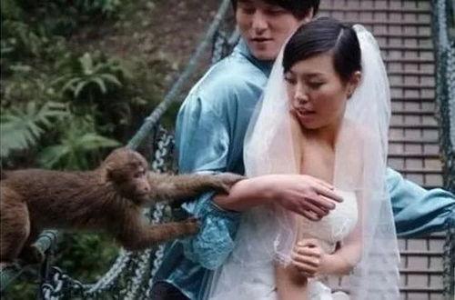 别喂猴子女明星,揭秘娱乐圈背后的残酷真相