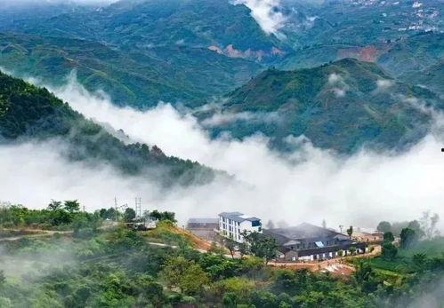 安溪明星周边,探寻地域文化与偶像力量的完美融合