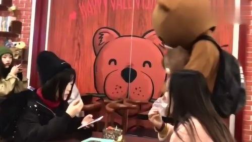 天降网红熊,网络爆红背后的故事与启示