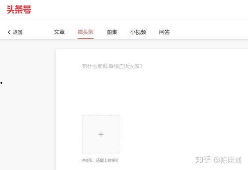 微头条所有作品,记录时代脉搏，展现多元风采