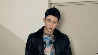 上升双子明星,揭秘上升双子明星的璀璨人生